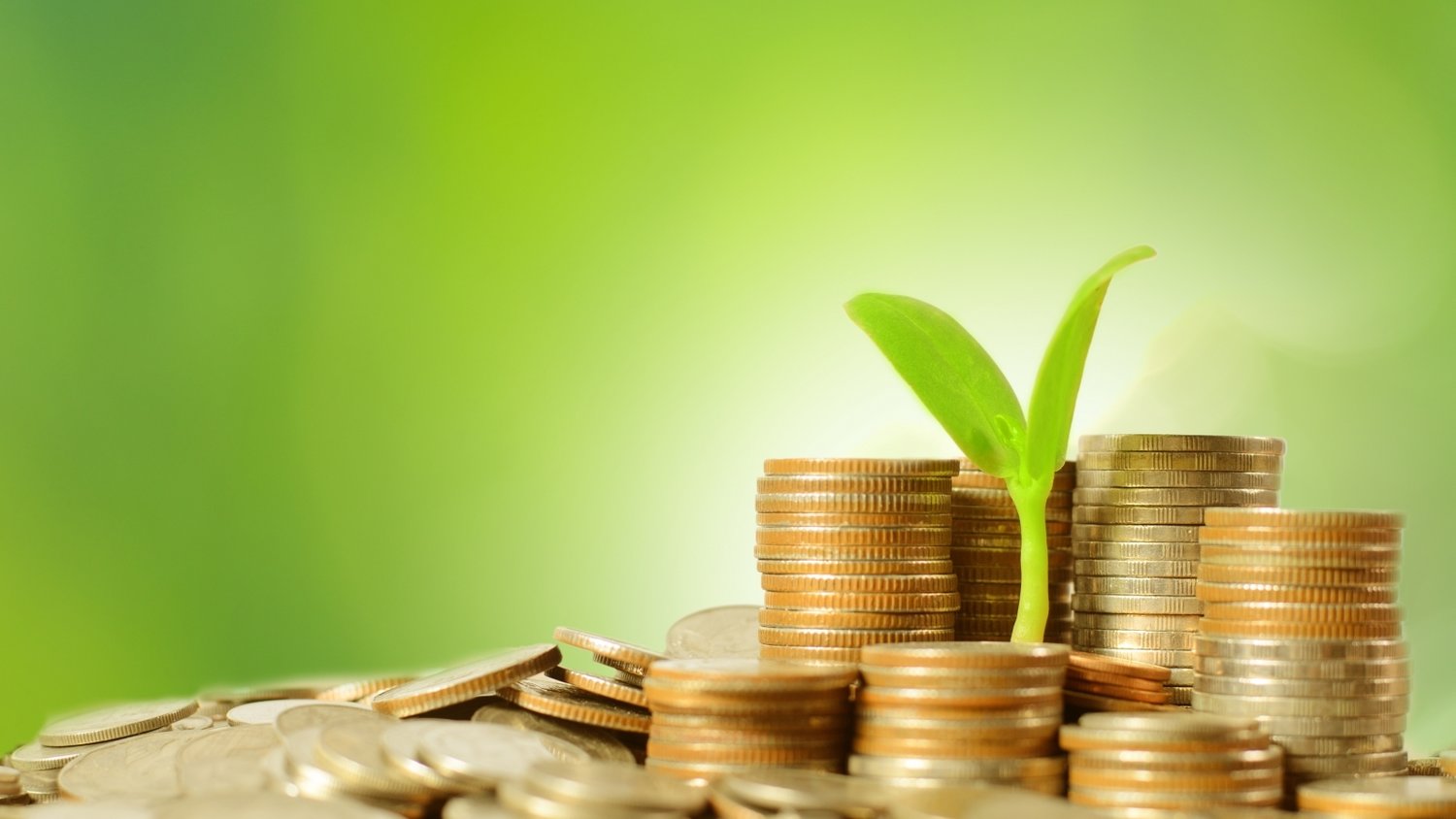 美乌欧领导人会晤“三谈三不谈”